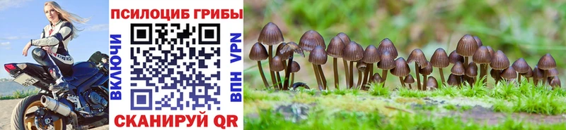 Псилоцибиновые грибы Cubensis Курск