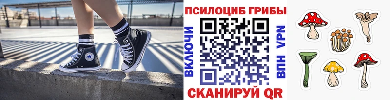 Купить закладки  Курск  Галлюциногенные грибы прущие грибы 